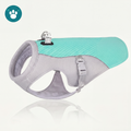 Gilet rafraîchissant pour chien FRESKO turquoise, anti coup de chaleur